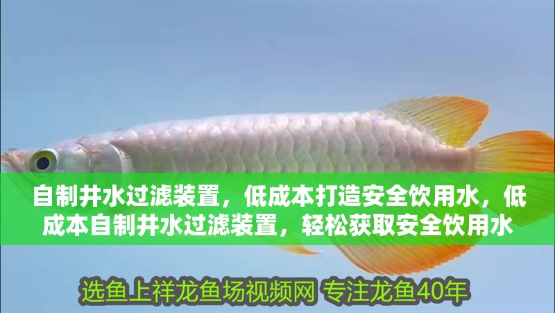 自制井水過濾裝置，低成本打造安全飲用水，低成本自制井水過濾裝置，輕松獲取安全飲用水 自制井水過濾裝置，低成本打造安全飲用水，低成本自制井水過濾裝置，輕松獲取安全飲用水 龍魚百科 第1張