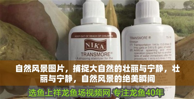 自然風景圖片，捕捉大自然的壯麗與寧靜，壯麗與寧靜，自然風景的絕美瞬間