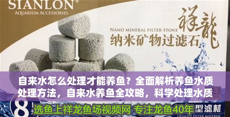 自來水怎么處理才能養魚？全面解析養魚水質處理方法，自來水養魚全攻略，科學處理水質的方法與步驟 自來水怎么處理才能養魚？全面解析養魚水質處理方法，自來水養魚全攻略，科學處理水質的方法與步驟 龍魚百科 第1張
