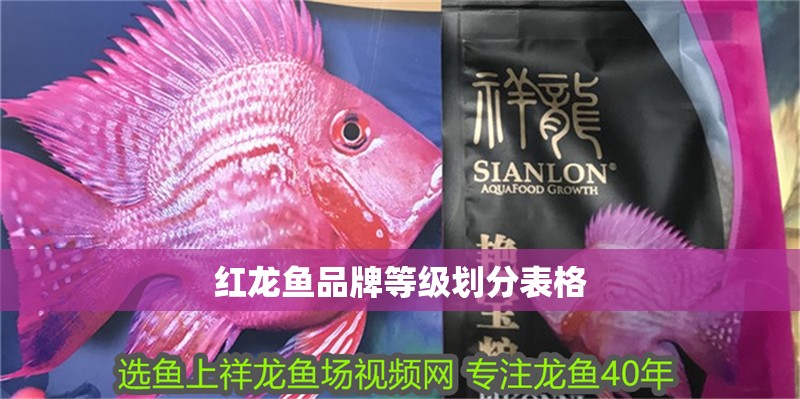 紅龍魚品牌等級劃分表格 紅龍魚品牌等級劃分表格 龍魚百科