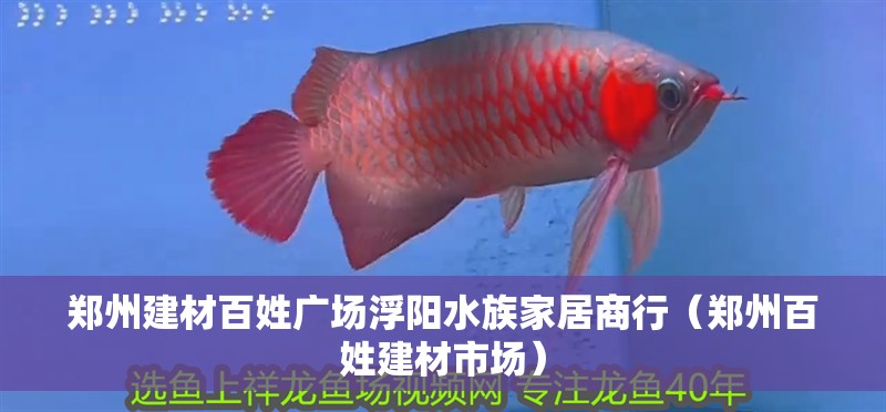 鄭州建材百姓廣場浮陽水族家居商行（鄭州百姓建材市場）