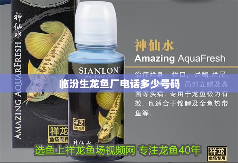臨汾生龍魚廠電話多少號碼