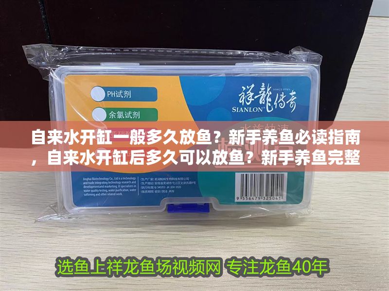 自來水開缸一般多久放魚？新手養(yǎng)魚必讀指南，自來水開缸后多久可以放魚？新手養(yǎng)魚完整指南