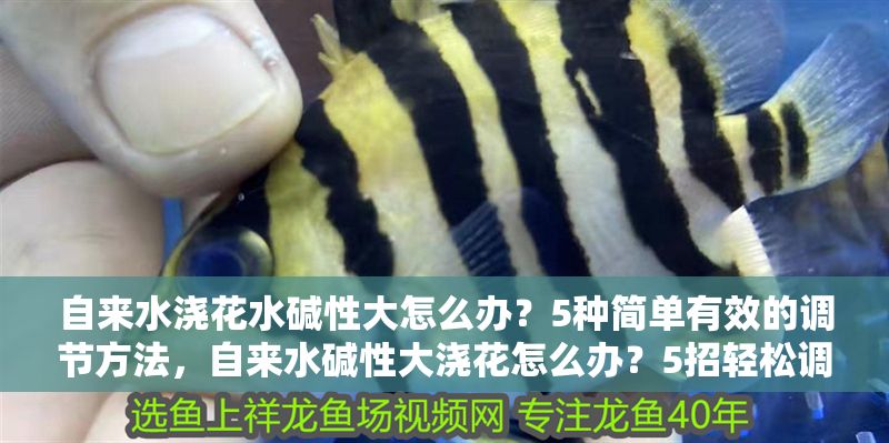 自來水澆花水堿性大怎么辦？5種簡單有效的調節方法，自來水堿性大澆花怎么辦？5招輕松調節水質