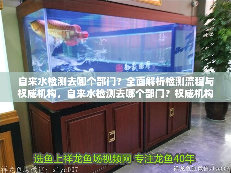 自來水檢測去哪個部門？全面解析檢測流程與權威機構，自來水檢測去哪個部門？權威機構與流程指南