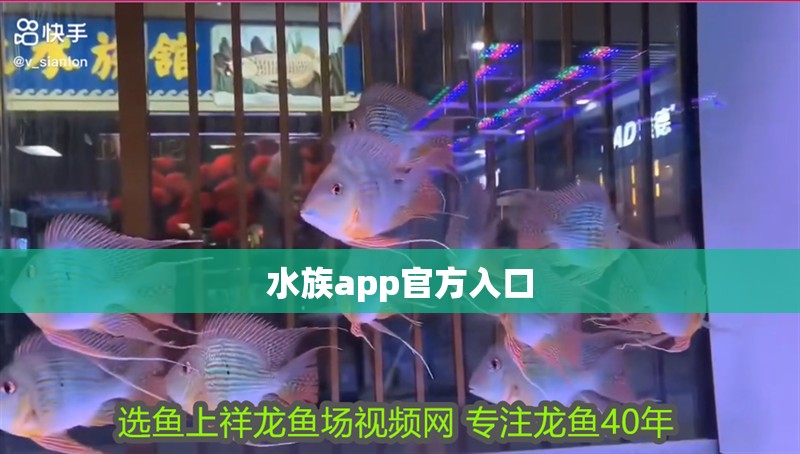 水族app官方入口 水族app官方入口 龍魚論壇