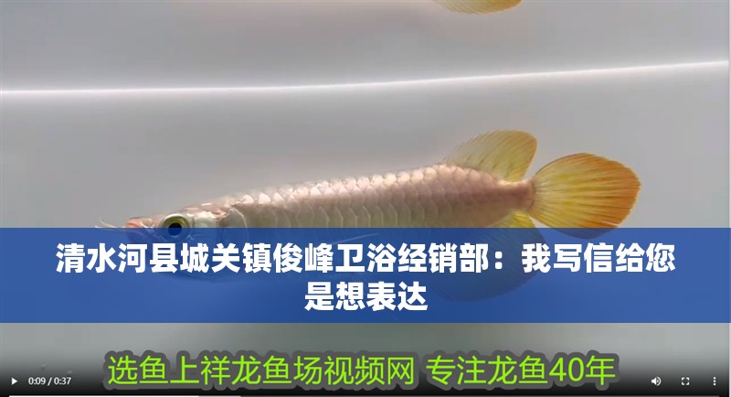 清水河縣城關鎮俊峰衛浴經銷部：我寫信給您是想表達 清水河縣城關鎮俊峰衛浴經銷部：我寫信給您是想表達 全國水族館企業名錄