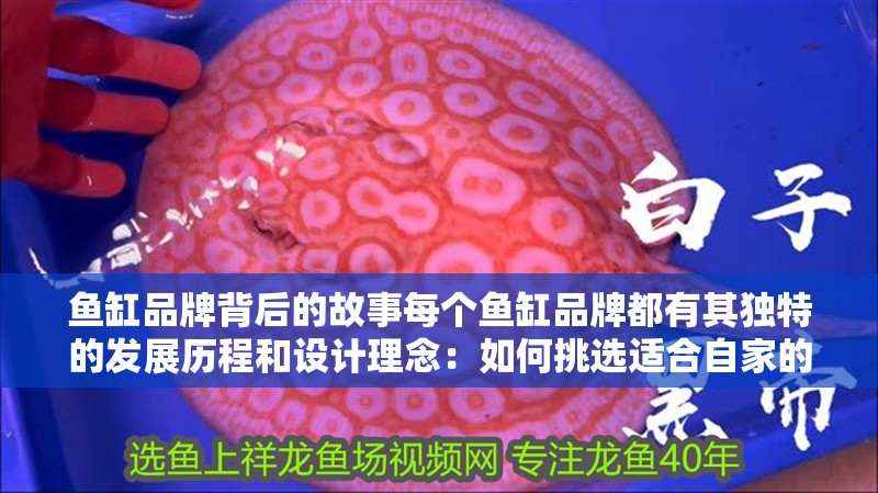 魚缸品牌背后的故事每個魚缸品牌都有其獨特的發(fā)展歷程和設計理念：如何挑選適合自家的魚缸