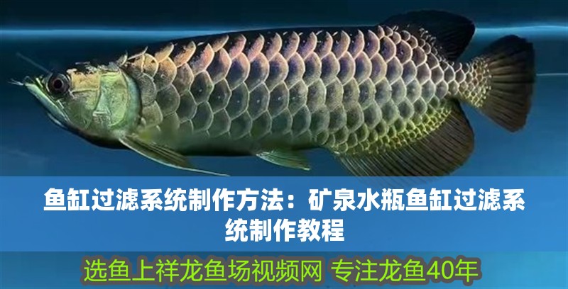 魚缸造景先放沙還是先放水(魚缸造景先鋪沙還是先放石頭) 魚缸過濾系統制作方法:礦泉水瓶魚缸過濾系統制作教程 魚缸百科 魚缸過濾系統制作方法:礦泉水瓶魚缸過濾系統制作教程 魚缸過濾系統制作方法:礦泉水瓶魚缸過濾系統制作教程 魚缸百科