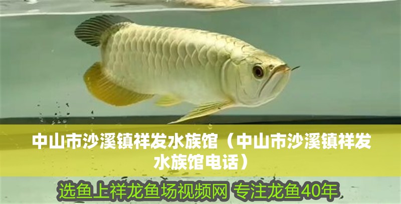 中山市沙溪鎮祥發水族館（中山市沙溪鎮祥發水族館電話） 中山市沙溪鎮祥發水族館（中山市沙溪鎮祥發水族館電話） 全國水族館企業名錄