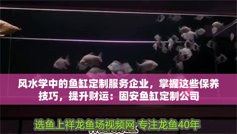 風水學中的魚缸定制服務企業，掌握這些保養技巧，提升財運：固安魚缸定制公司
