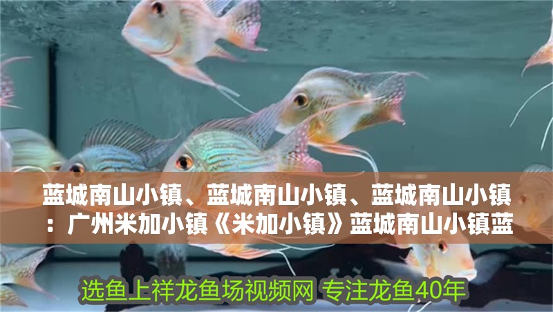 藍(lán)城南山小鎮(zhèn)、藍(lán)城南山小鎮(zhèn)、藍(lán)城南山小鎮(zhèn)：廣州米加小鎮(zhèn)《米加小鎮(zhèn)》藍(lán)城南山小鎮(zhèn)藍(lán)城南山小鎮(zhèn)