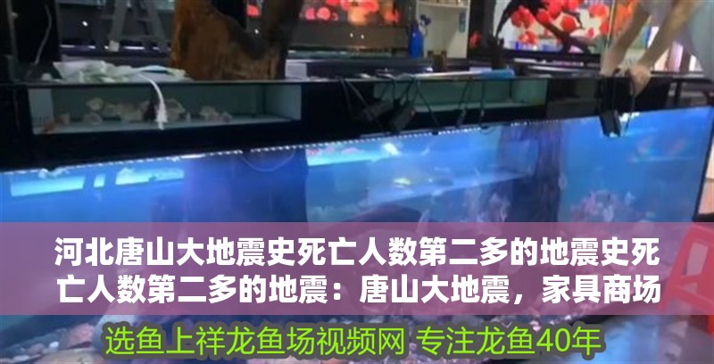什么魚能和龍魚、虎魚混養(龍魚能和虎魚混養嗎) 河北唐山大地震史死亡人數第二多的地震史死亡人數第二多的地震:唐山大地震,家具商場如何進場 魚缸百科 河北唐山大地震史死亡人數第二多的地震史死亡人數第二多的地震:唐山大地震,家具商場如何進場 河北唐山大地震史死亡人數第二多的地震史死亡人數第二多的地震:唐山大地震,家具商場如何進場 魚缸百科
