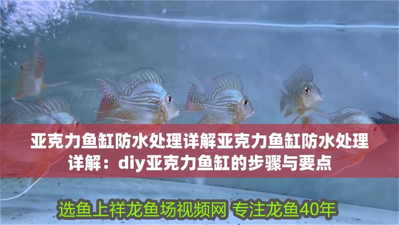 亞克力魚缸防水處理詳解亞克力魚缸防水處理詳解：diy亞克力魚缸的步驟與要點 亞克力魚缸防水處理詳解亞克力魚缸防水處理詳解：diy亞克力魚缸的步驟與要點 魚缸百科