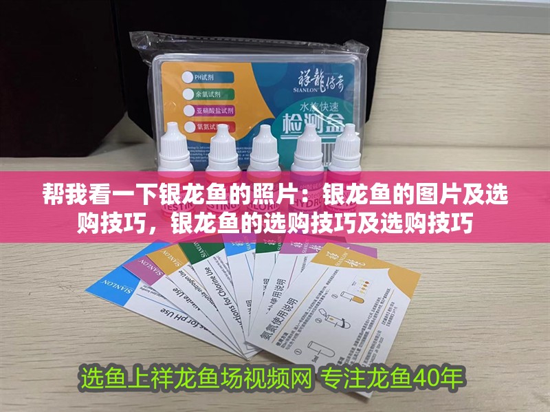 幫我看一下銀龍魚的照片：銀龍魚的圖片及選購(gòu)技巧，銀龍魚的選購(gòu)技巧及選購(gòu)技巧