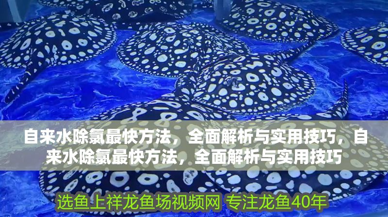 自來(lái)水除氯最快方法，全面解析與實(shí)用技巧，自來(lái)水除氯最快方法，全面解析與實(shí)用技巧