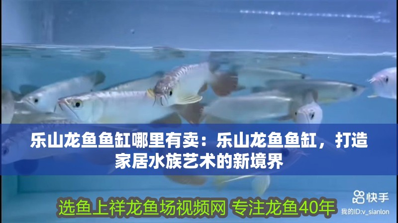 樂山龍魚魚缸哪里有賣：樂山龍魚魚缸，打造家居水族藝術的新境界 樂山龍魚魚缸哪里有賣：樂山龍魚魚缸，打造家居水族藝術的新境界 魚缸百科