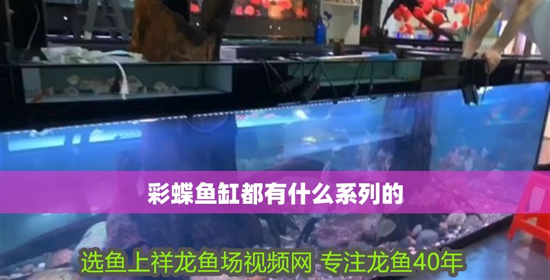 彩蝶魚缸都有什么系列的