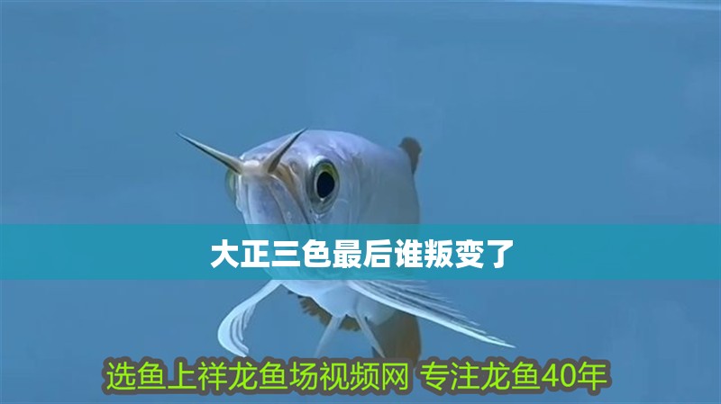 大正三色最后誰叛變了