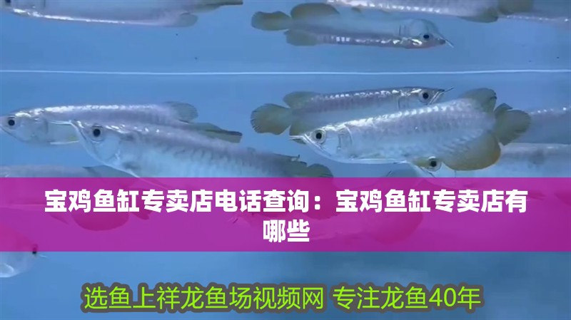 寶雞魚缸專賣店電話查詢：寶雞魚缸專賣店有哪些 寶雞魚缸專賣店電話查詢：寶雞魚缸專賣店有哪些 魚缸百科
