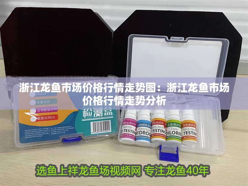 <strong><mark>浙江</mark></strong>龍魚市場價格行情走勢圖：<strong><mark>浙江</mark></strong>龍魚市場價格行情走勢分析