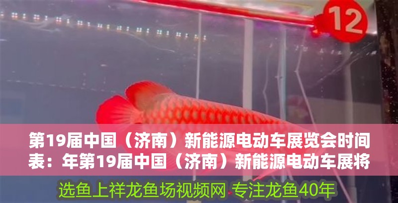 第19屆中國（濟南）新能源電動車展覽會時間表：年第19屆中國（濟南）新能源電動車展將在山東國際會展中心舉行