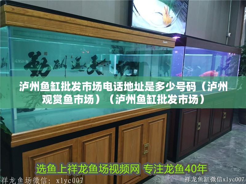 瀘州魚缸批發市場電話地址是多少號碼（瀘州觀賞魚市場）（瀘州魚缸批發市場） 瀘州魚缸批發市場電話地址是多少號碼（瀘州觀賞魚市場）（瀘州魚缸批發市場） 魚缸百科