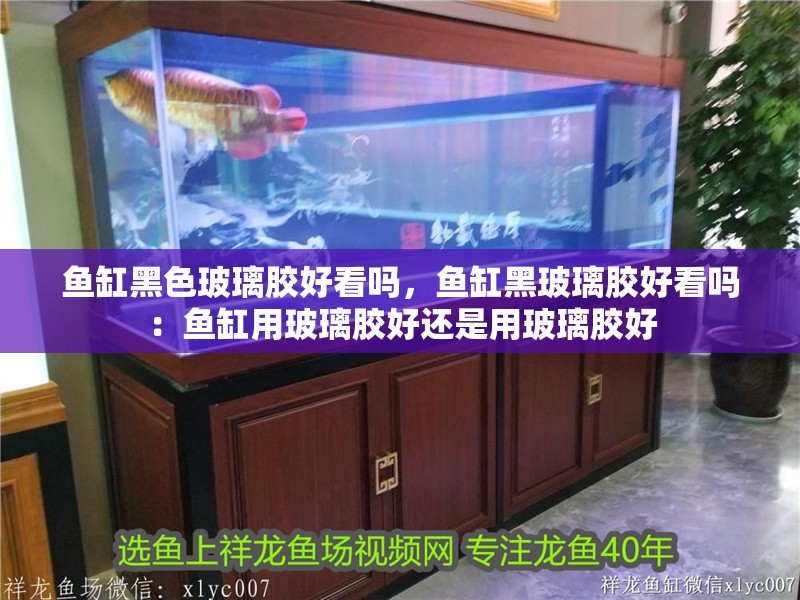 魚缸黑色玻璃膠好看嗎，魚缸黑玻璃膠好看嗎：魚缸用玻璃膠好還是用玻璃膠好