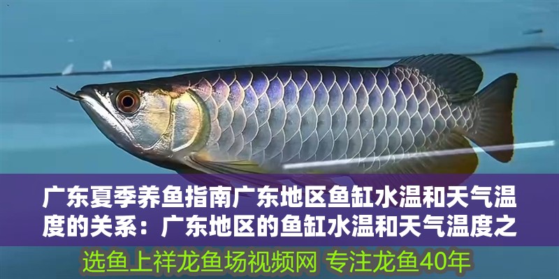 廣東夏季養魚指南廣東地區魚缸水溫和天氣溫度的關系：廣東地區的魚缸水溫和天氣溫度之間的關系 廣東夏季養魚指南廣東地區魚缸水溫和天氣溫度的關系：廣東地區的魚缸水溫和天氣溫度之間的關系 魚缸百科