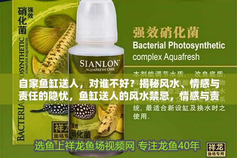 自家魚缸送人，對誰不好？揭秘風水、情感與責任的隱憂，魚缸送人的風水禁忌，情感與責任背后的隱憂解析