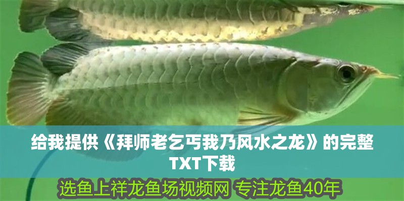 給我提供《拜師老乞丐我乃風水之龍》的完整TXT下載