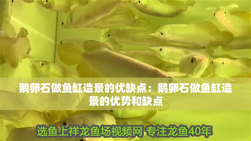 鵝卵石做魚缸造景的優(yōu)缺點：鵝卵石做魚缸造景的優(yōu)勢和缺點