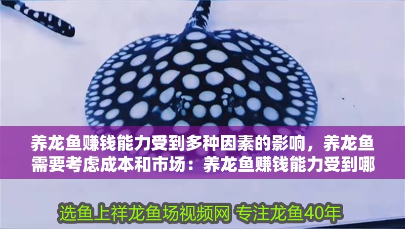 養龍魚賺錢能力受到多種因素的影響，養龍魚需要考慮成本和市場：養龍魚賺錢能力受到哪些因素的影響？