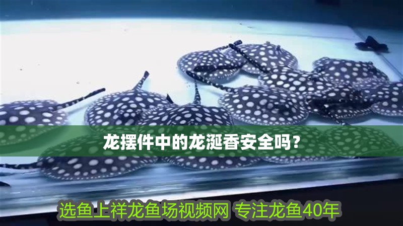 龍擺件中的龍涎香安全嗎？