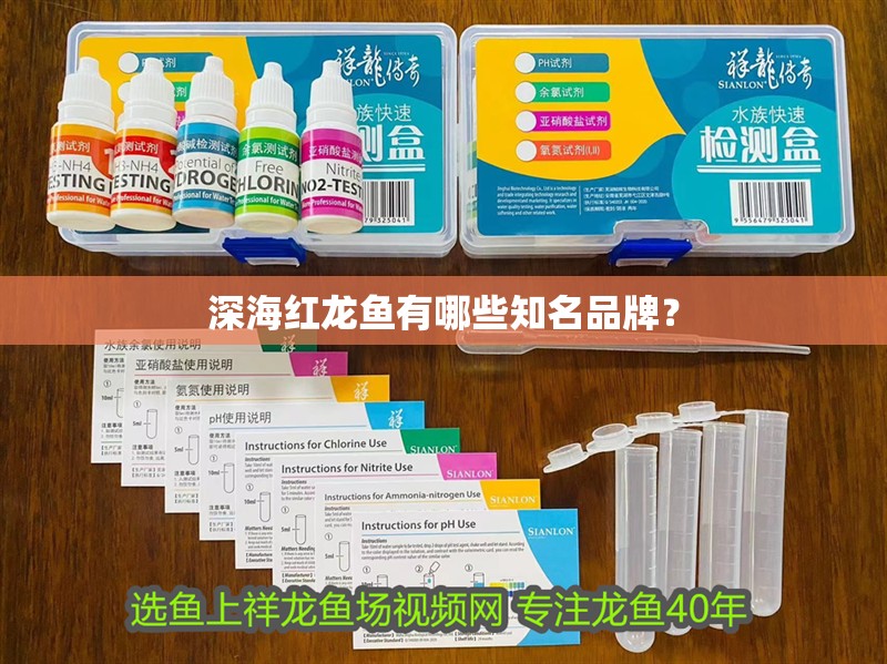 深海紅龍魚有哪些知名品牌？ 深海紅龍魚有哪些知名品牌？ 龍魚論壇