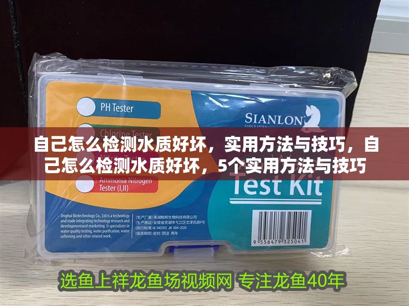 自己怎么檢測水質好壞，實用方法與技巧，自己怎么檢測水質好壞，5個實用方法與技巧 自己怎么檢測水質好壞，實用方法與技巧，自己怎么檢測水質好壞，5個實用方法與技巧 龍魚百科 第1張