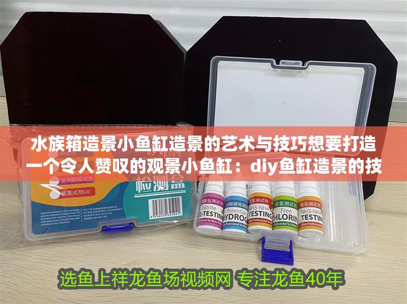 水族箱造景小魚缸造景的藝術(shù)與技巧想要打造一個令人贊嘆的觀景小魚缸：diy魚缸造景的技巧