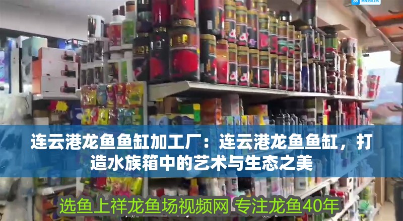 連云港龍魚魚缸加工廠：連云港龍魚魚缸，打造水族箱中的藝術(shù)與生態(tài)之美