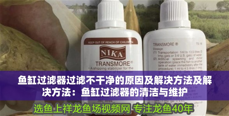 魚缸過濾器過濾不干凈的原因及解決方法及解決方法：魚缸過濾器的清潔與維護 魚缸過濾器過濾不干凈的原因及解決方法及解決方法：魚缸過濾器的清潔與維護 魚缸百科