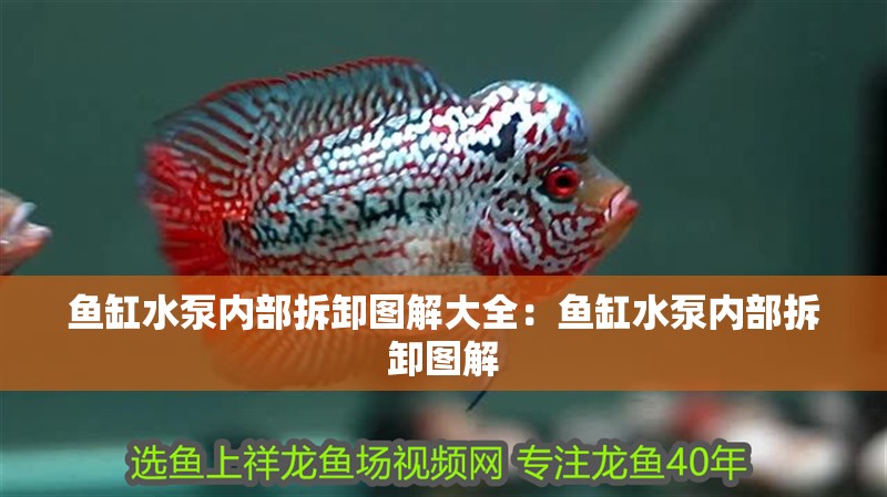 魚缸水泵內(nèi)部拆卸圖解大全：魚缸水泵內(nèi)部拆卸圖解