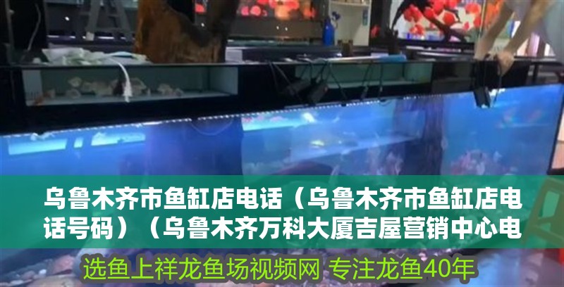 烏魯木齊市魚缸店電話（烏魯木齊市魚缸店電話號(hào)碼）（烏魯木齊萬科大廈吉屋營銷中心電話預(yù)約看房免費(fèi)咨詢項(xiàng)目優(yōu)惠信息）