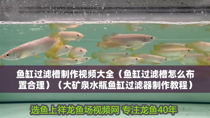 魚缸過濾槽制作視頻大全（魚缸過濾槽怎么布置合理）（大礦泉水瓶魚缸過濾器制作教程）