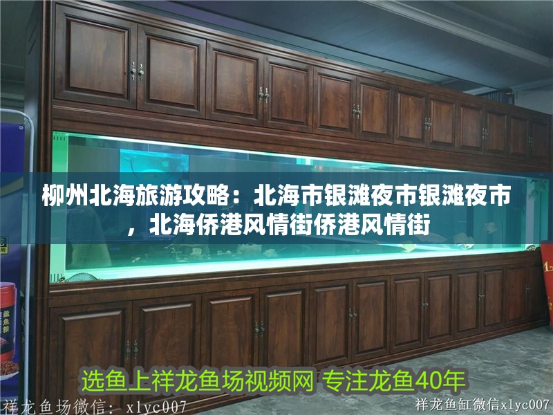 柳州北海旅游攻略：北海市銀灘夜市銀灘夜市，北海僑港風情街僑港風情街 柳州北海旅游攻略：北海市銀灘夜市銀灘夜市，北海僑港風情街僑港風情街 魚缸百科