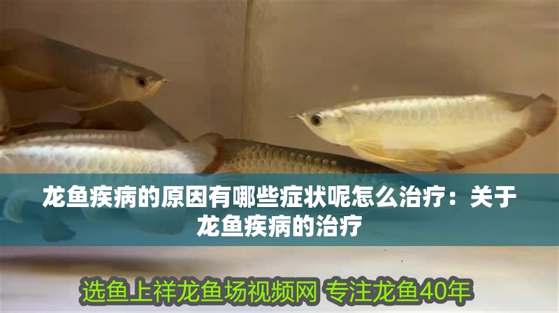 龍魚疾病的原因有哪些癥狀呢怎么治療：關(guān)于龍魚疾病的治療