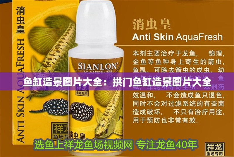 魚缸造景圖片大全：拱門魚缸造景圖片大全