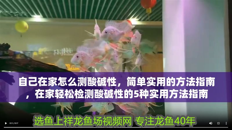 自己在家怎么測酸堿性，簡單實用的方法指南，在家輕松檢測酸堿性的5種實用方法指南