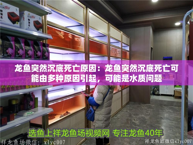 龍魚突然沉底死亡原因：龍魚突然沉底死亡可能由多種原因引起，可能是水質(zhì)問題
