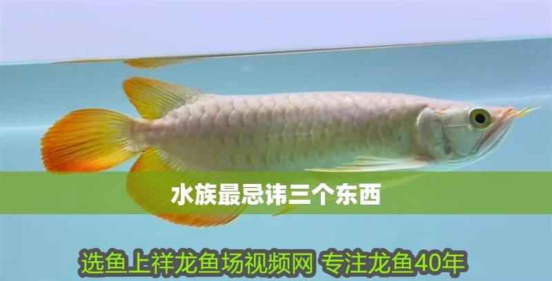 水族最忌諱三個(gè)東西