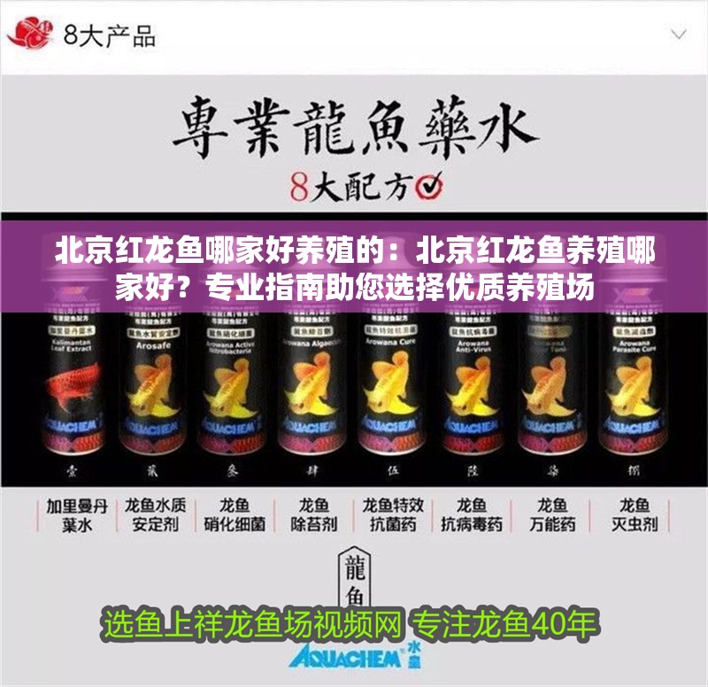 北京紅龍魚哪家好養殖的：北京紅龍魚養殖哪家好？專業指南助您選擇優質養殖場