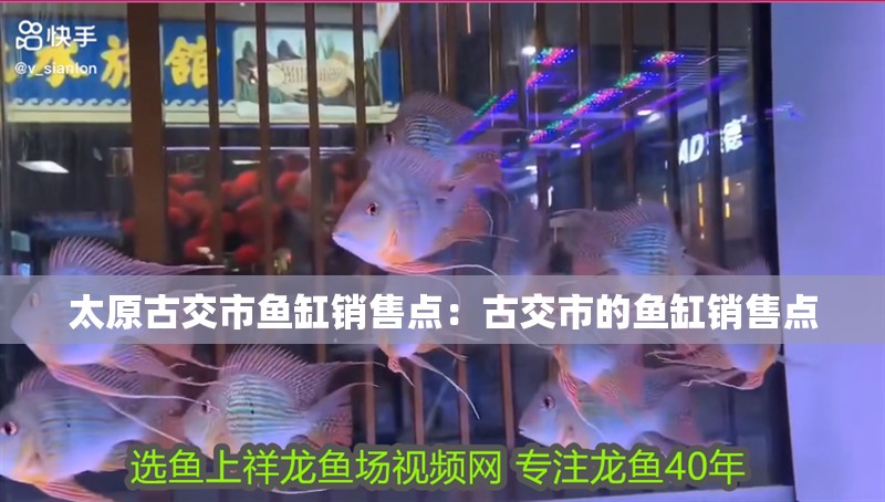 太原古交市魚缸銷售點：古交市的魚缸銷售點